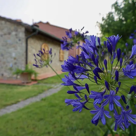 Nyaraló Borgo Le Balze *