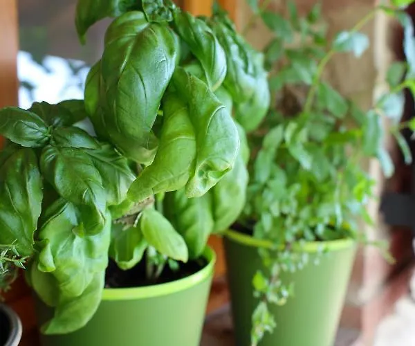 別荘 Borgo Le Balze *