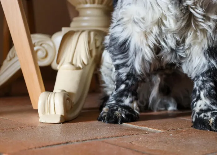 Borgo Le Balze サン・ジミニャーノ