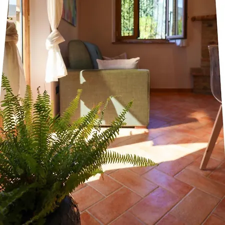 Borgo Le Balze *